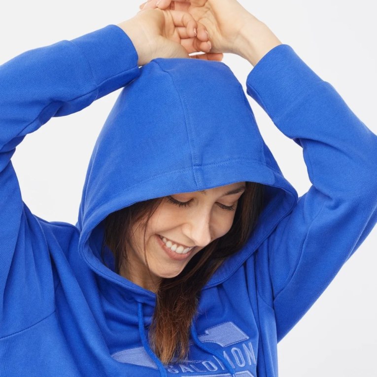 Blue Salomon Outlife Logo Summer Women's Sweatshirt | PH 89754K